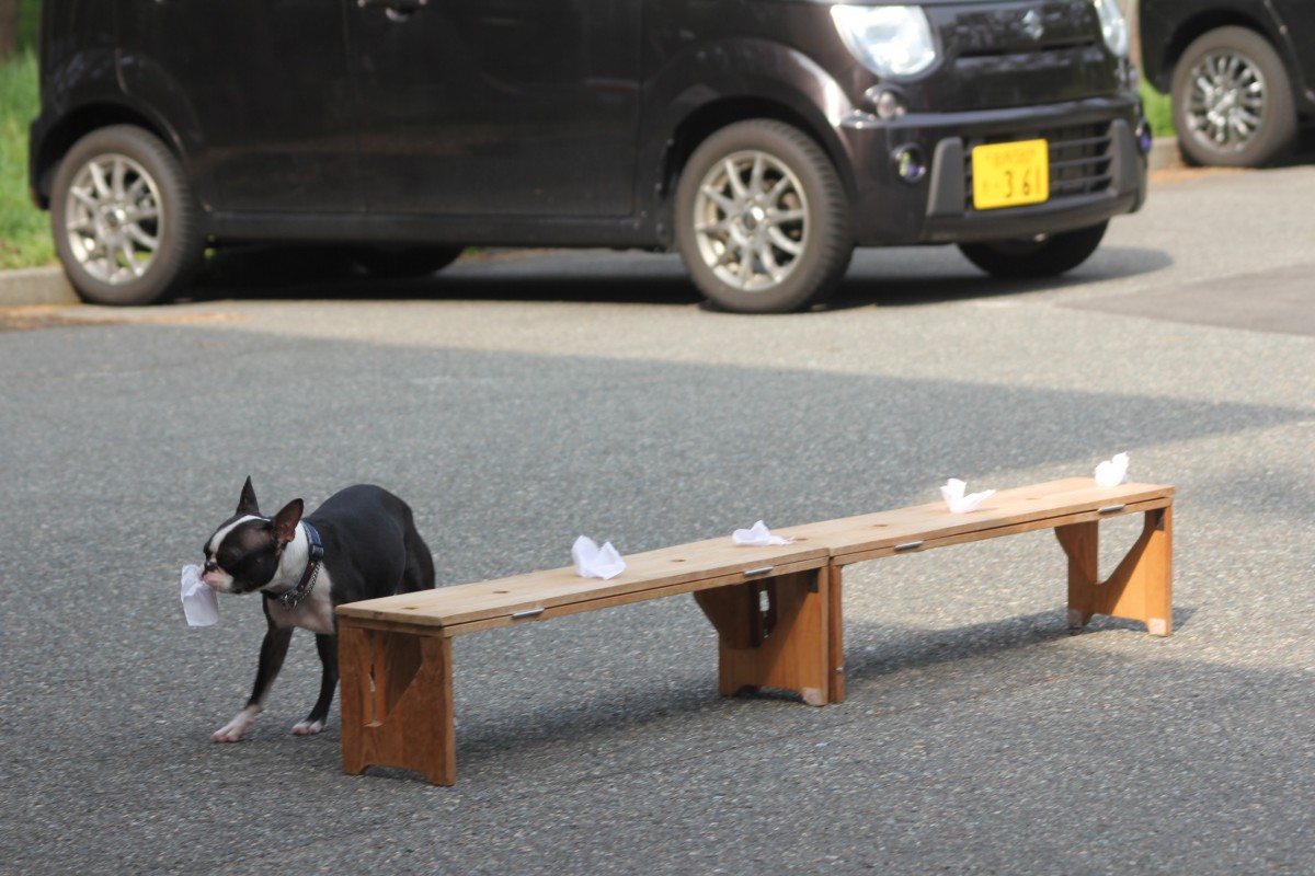４月１６日