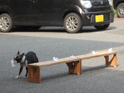 ４月１６日
