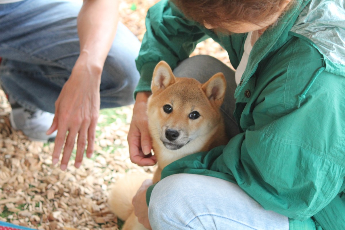 ７月３日