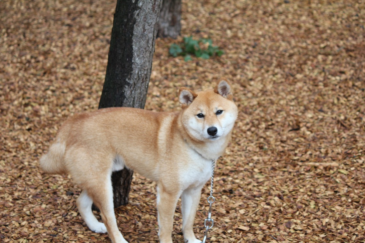７月９日