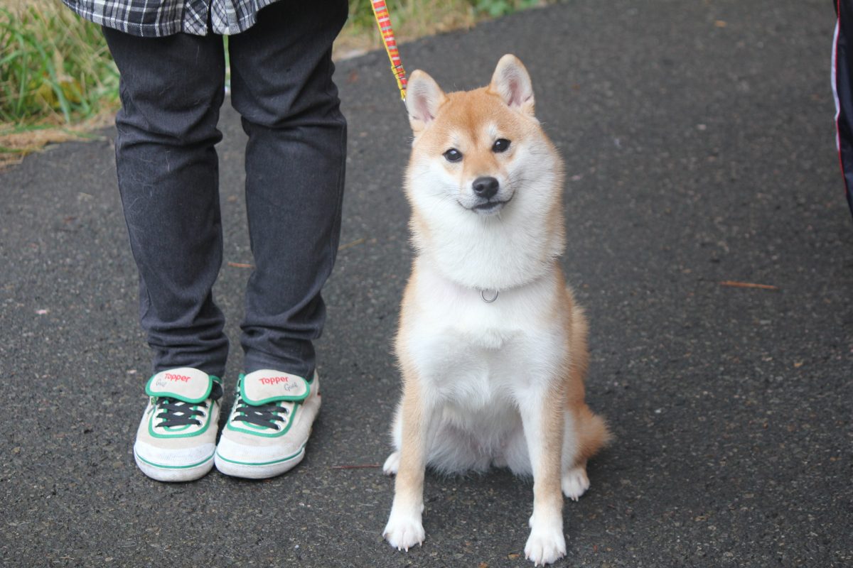 １１月２０日
