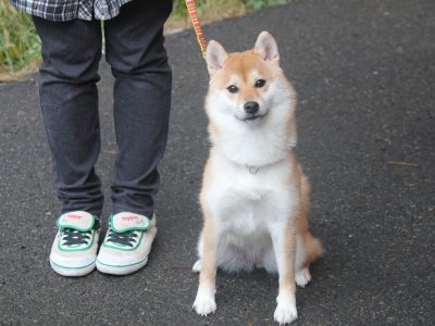１１月２０日