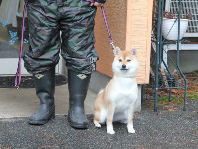 １２月２３日～２５日