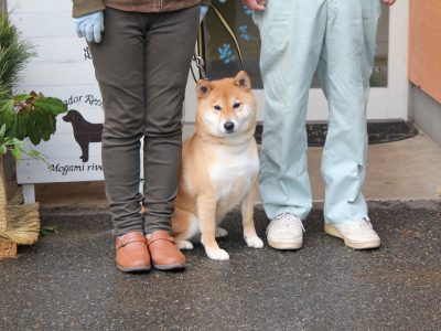 １月９日～１３日