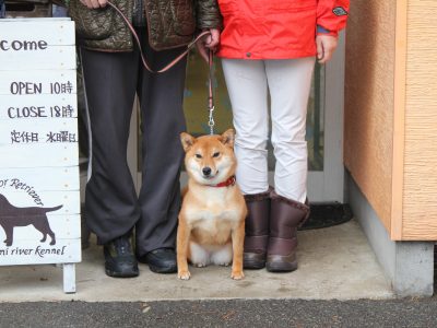 ２月６・７日
