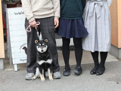３月２８日～４月１日