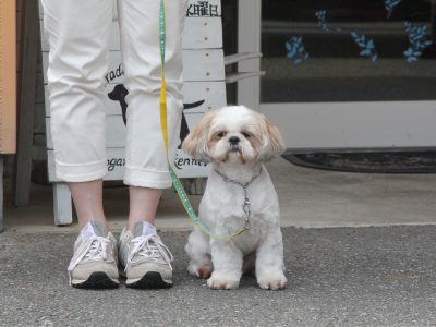 6月４日～10日