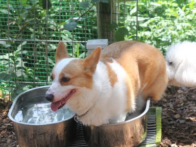 ７月16日～２２日