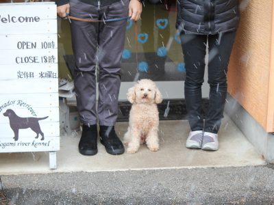 約一ヶ月ぶりの更新です、本年もよろしくお願いいたします。