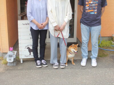 ６月7日～13日