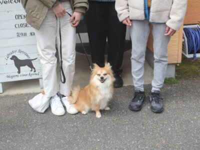 ３月20日～２６日