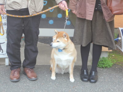4月10日～16日